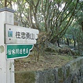 GO~~~往忠勇山
