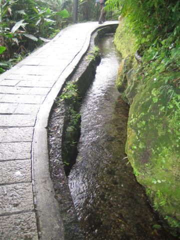 坪頂古圳親山步道