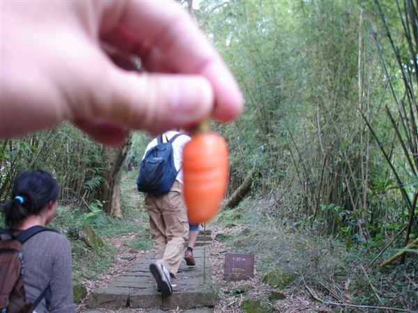 小紅蘿蔔