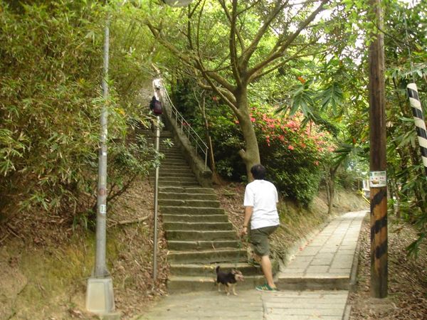 忠勇山~~左邊