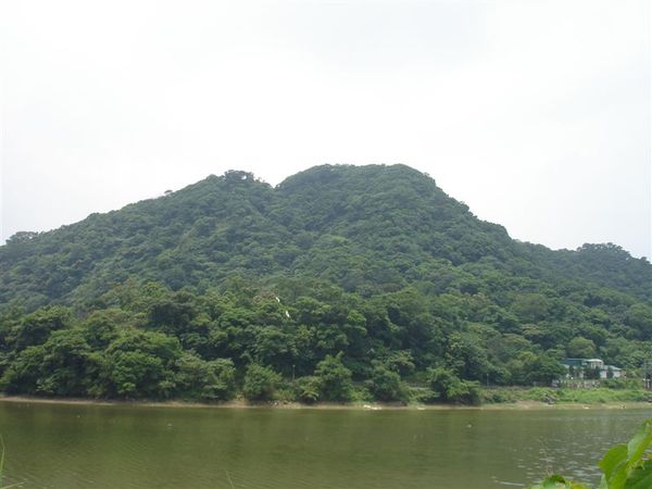 白鷺鷥山與白鷺鷥