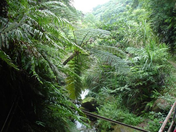 豹山溪步道