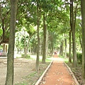 大安森林公園