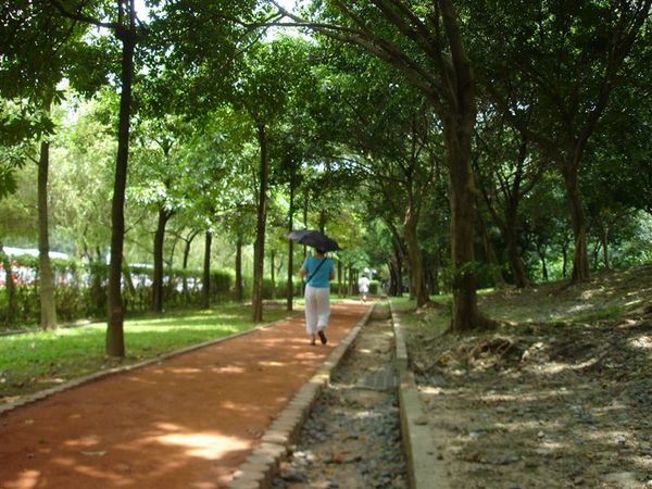 大安森林公園