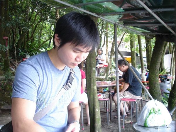 竹子湖吃野菜~~