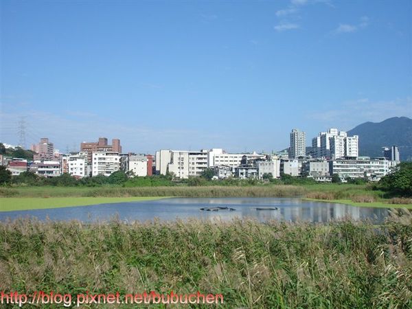 關渡自然公園