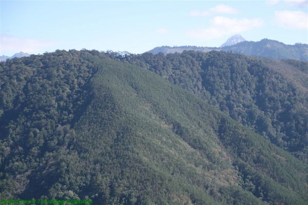 雪山登山口