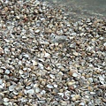 DSC0008.JPG