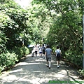 dsc0054.JPG