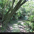 IMG_6500.JPG