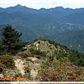 PhotoCap_PhotoCap_PhotoCap_照片 462.jpg