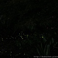 IMG_2670.JPG