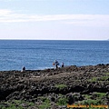 DSC0145.JPG