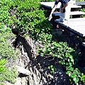 DSC0149.JPG