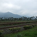 DSC 197.jpg