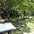 2009_0531_132955.JPG