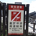 2009_0705_102848.JPG