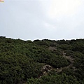 IMG_3503.JPG