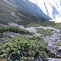 IMG_3554.JPG