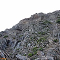 IMG_3558.JPG