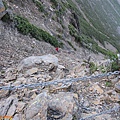 IMG_3559.JPG