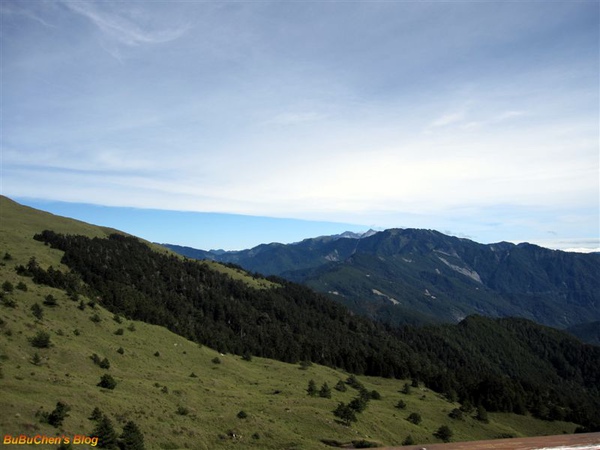 DSC 137.jpg