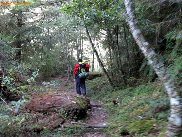 DSC 161.jpg