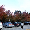 2009_1128_155525.jpg