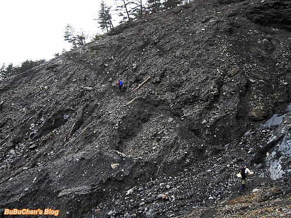 pic 271.jpg pic 271.jpg