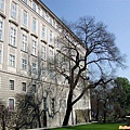 2009_0413_173402.jpg