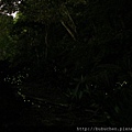 IMG_2671.JPG