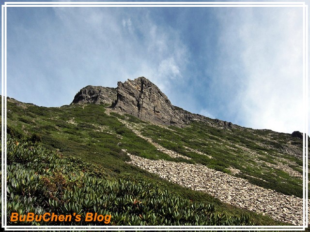 PhotoCap_PhotoCap_PhotoCap_照片 426.jpg PhotoCap_PhotoCap_PhotoCap_照片 426.jpg