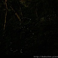 IMG_2662.JPG