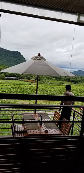 20190901_121604.jpg 20190901_121604.jpg