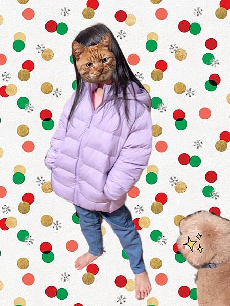 [樂淘]日本UNIQLO官網Part 2-毛毛外套、發熱衣