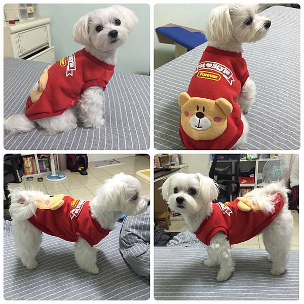 IMG_2838.JPG IMG_2838.JPG