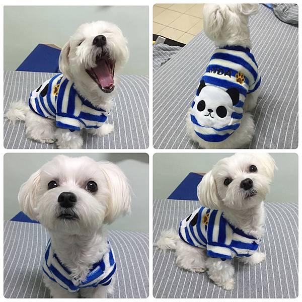 IMG_2839.JPG IMG_2839.JPG