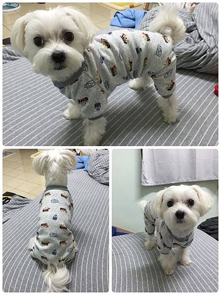 IMG_2840.JPG IMG_2840.JPG