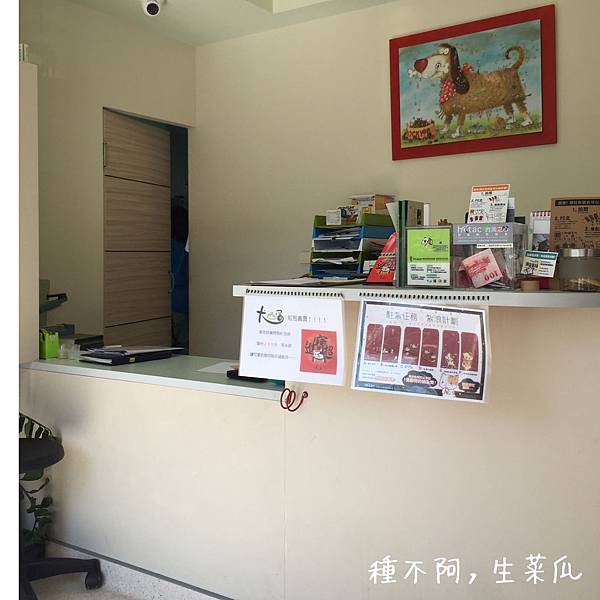 IMG_3137.JPG IMG_3137.JPG