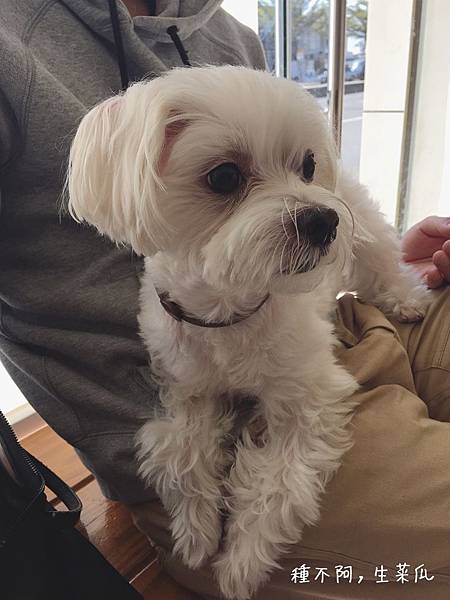 IMG_3138.JPG IMG_3138.JPG