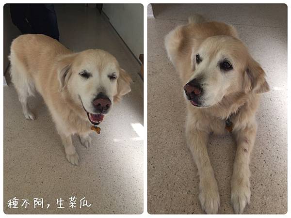 IMG_3140.JPG IMG_3140.JPG