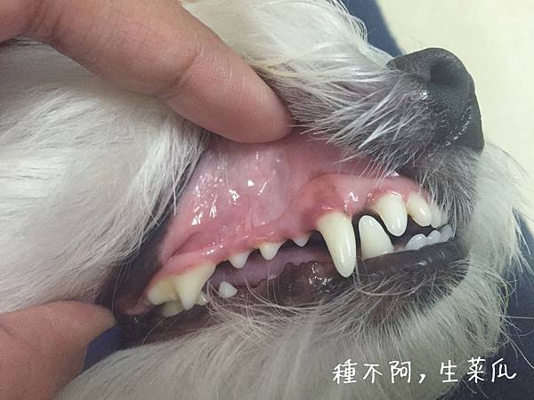 IMG_3147.JPG IMG_3147.JPG