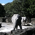 012 elephant!!!.JPG