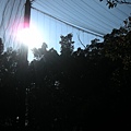 051 鳥園中的太陽.JPG