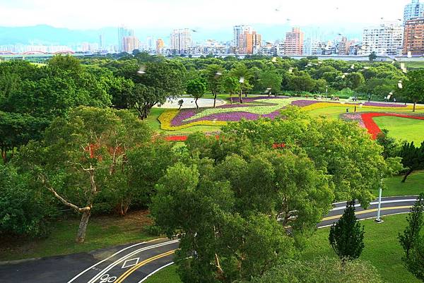 古亭河濱公園地景花海、夜拍 061.JPG