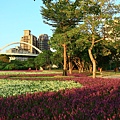 古亭河濱公園地景花海、夜拍 144