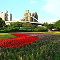 古亭河濱公園地景花海、夜拍 105