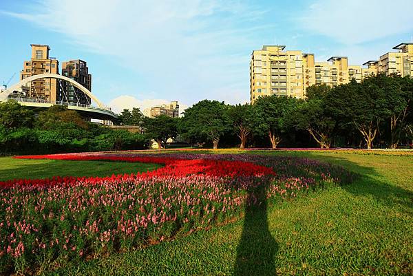 古亭河濱公園地景花海、夜拍 096