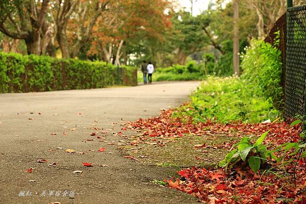 楓紅、美軍宿社區 064