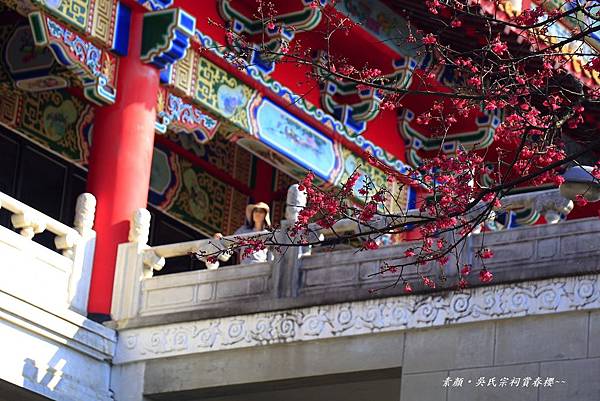 吳氏宗祠 156